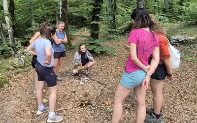 coaching collectif en mouvement pleine nature